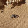 Boucle d'oreille Pauline